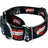Country Brook Petz® 2 Inch Martingale Dog Collar - 2 of 4