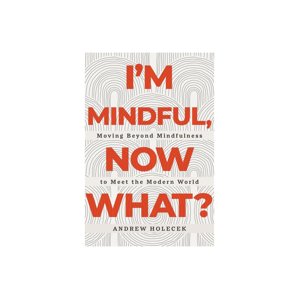 Im Mindful, Now What? - by Andrew Holecek (Paperback)