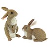 Design Toscano Bashful and Hopper Garden Bunnies Collection: Set of Two - 2 of 4