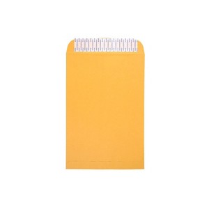 JAM Paper Open End Catalog Envelopes w/Peel and Seal Closure 10"x15" Manila 13034234C - 1 of 3
