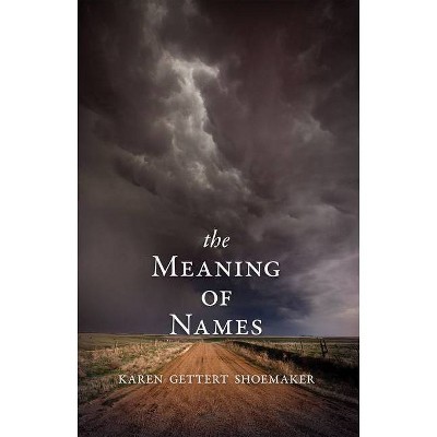 The Meaning of Names - by  Karen Shoemaker (Paperback)