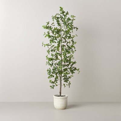 Photo 1 of 72" Faux Gypsophila Leaf Tree - Hearth  Hand with Magnolia