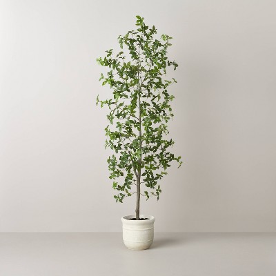 1pc Artificial Ficus Tree, 5ft Tall With Silk Leaves, Fake Moss, And Sturdy  Nursery Pot, For Indoor And Outdoor Home, Office, And Farmhouse Decor :  Target