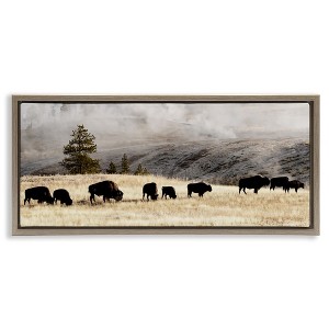 Stupell Industries Grazing Bison Foggy Countryside, 25" x 11" - 1 of 4