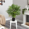 HomeStock  3 ft. Artificial Palm Tree in Pot for Indoor/Outdoor - 3 of 4