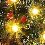 2pc snow flocked tburlap base