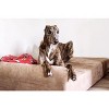 Big Barker 7" Orthopedic Dog Bed - Headrest Edition - 4 of 4