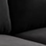 black (velvet)