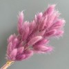 Alilang Dried Bunny Tail Grass Stems for Modern Home Decoration and Floral Arrangements, 23.5 Inches - 3 of 3
