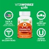 VitaWorks Kids - Probiotic - 60 Chewables - 4 of 4