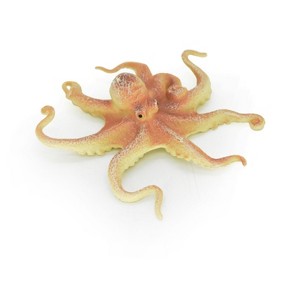 Collectible Wildlife Gifts | Octopus Toy, Octopodes, Octopoda, Ocean, Deep Sea,  Realistic Rubber Model, Animal, Hand Painted   3"   CH110 BB92 - 1 of 4