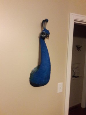Design Toscano Prized Peacock Trophy Wall Sculpture
