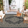 Indoor Outdoor Farmhouse Area Rugs for Backyard Deck Patio, Plush Thick Low Pile Throw Carpet for Bedroom Living Room Dining Room - 3 of 4
