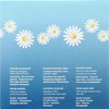 Natracare Organic Cotton Ultra Pads Long - 10 ct - 3 of 4