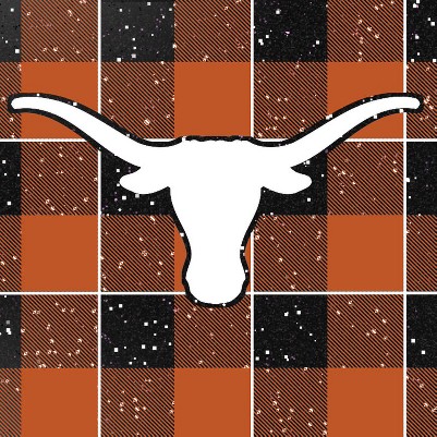 texas longhorns