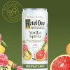 Ketel One Botanical Grapefruit & Rose Vodka Spritz - 4pk/355ml Cans - image 3 of 4