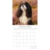 2026 Square Wall Calendar, Cavalier King Charles Spaniels, 16-Month Animals Theme with 180 Reminder Stickers (12x12 In) - 3 of 4