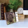 Willow Creek Press Baby Animals 2025 Box Calendar: Daily Desktop, 5x6", All Ages, Blue, Paper, January-December - 4 of 4