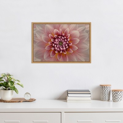 Pink Dahlia Macro Botanical Canvas Print with Maple Frame