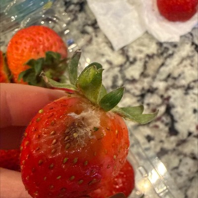 Guest review image 1 of 1, zoom in