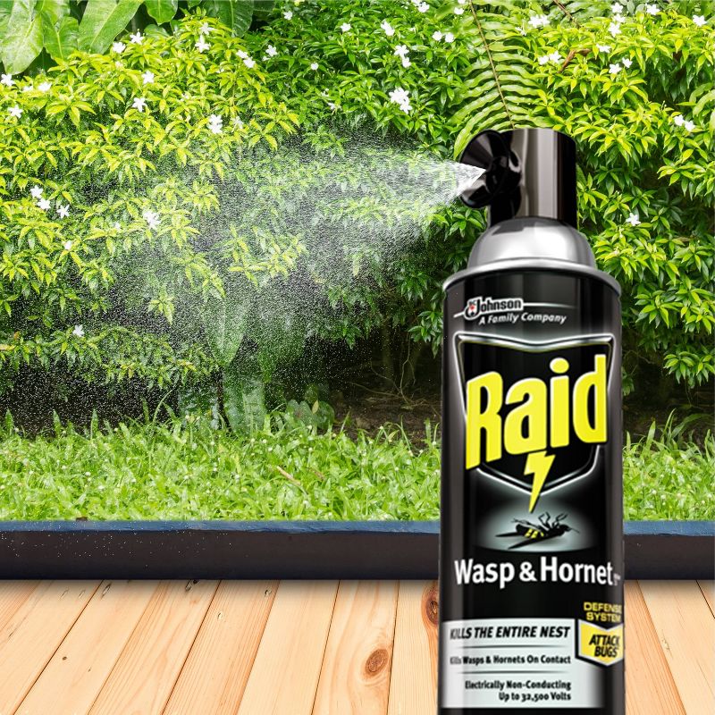 Raid 14oz 2ct Wasp &#38; Hornet KillerTwin Pack, 3 of 16