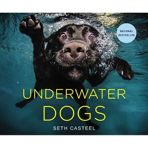 Underwater Dogs by Seth Casteel (Hardcover) by Seth Casteel - image 1 of 1