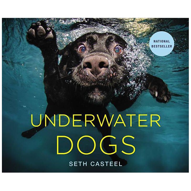 Underwater Dogs by Seth Casteel (Hardcover) by Seth Casteel, 1 of 2