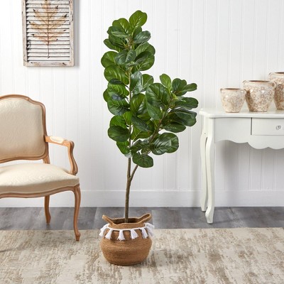 Boho Chic 4.5ft Fiddle Leaf Fig in Handwoven Cotton Planter
