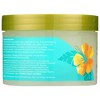 Alba Botanica Sea Salt Body Scrub - 14.5 oz - 3 of 4