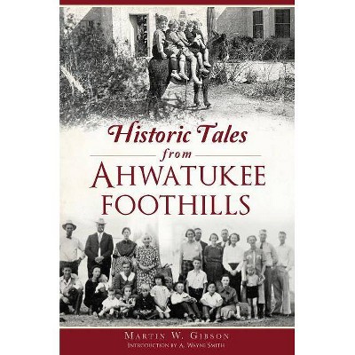 Historic Tales from Ahwatukee Foothills - by  Martin W Gibson (Paperback)