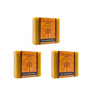 Pumpkin Spice Bar Soap 3-Pack | Warm, Spiced Aromatherapy Cleanser for Soft, Hydrated Skin | Natural Body Care | Plantlife - 1 of 3