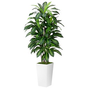 Aoibox Artificial Dracaena Plant Indoor - Fake Tree with White Tall Planter - Faux Yucca Floor Plant in Pot for Home Office Living Room Decor - 1 of 4