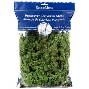 SuperMoss Preserved Reindeer Moss Decorative Filler: Soft, Spongy Indoor/Outdoor Craft Material - Green - 1 of 4
