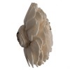 Vickerman 1-3" Natural Botanicals Assorted Natural Dried Sola Flower Head - 3 of 3