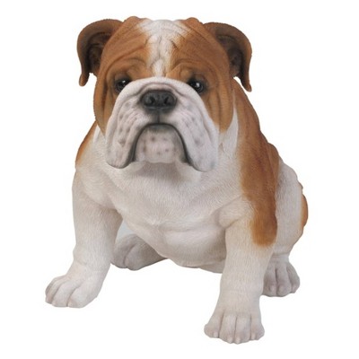 14.5" Polyresin Sitting Large Bulldog Statue Brown/White - Hi-Line Gift