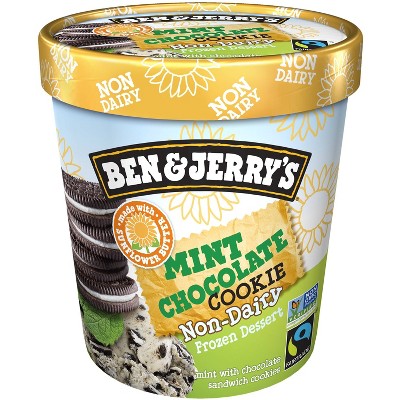 Ben & Jerry's Non Dairy Ice Cream Mint Chocolate Cookie Frozen Dessert - 16oz