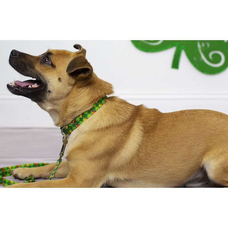 Country Brook Petz Premium Limerick Argyle Dog Collar, 3 of 8