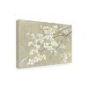 Trademark Fine Art -Danhui Nai 'Dogwood In Spring Neutral Crop' Canvas Art - 4 of 4