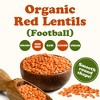 Organic Red Lentils (Football) - by Food To Live - 3 of 4