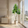 2Pack Artificial Fiddle Leaf Fig Tree, Faux Fiddle Leaves Fake Fig Silk Tree in Pot,Home Indoor Corner Decor for Living Room Bathroom Office - 4 of 4