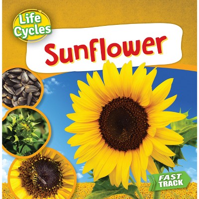 Sunflower Life Cycles By Nancy Dickmann Paperback Target