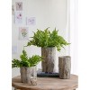 Set of 2 Rustic Cement Log Planters – 6.5" Small Round Indoor/Outdoor Flower Pots – Farmhouse Style Decorative Plant Holders - 3 of 4