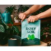 Rosy Soil Potting Soil - 3 of 4