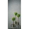 Sullivans Artificial Set of 3 Tealeaf Berry Topiary Tree 22"H, 26"H & 30"H Green - 3 of 4