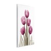 Stupell Industries Pink X-Ray Tulips, 10" x 15" - 3 of 4
