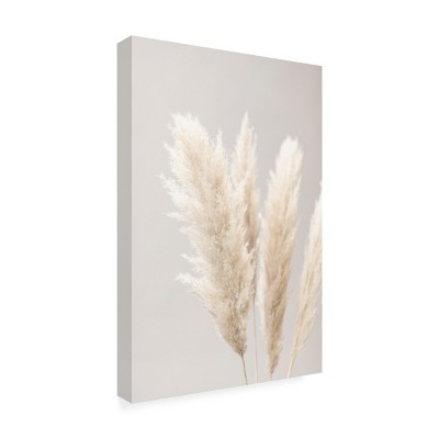 Trademark Fine Art -1x Studio III 'Pampas Grass Grey 02' Canvas Art