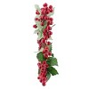 Chery Life 13" Red Berry Wreaths With Green Holly Leaves, Set of 3 - 4 of 4