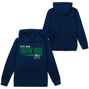 NCAA Notre Dame Fighting Irish Toddler Boys' Poly Hooded Sweatshirt - 1 of 3