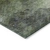 Green And Ivory Abstract Washable Indoor Outdoor Area Rug - 4 of 4