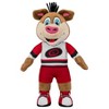 Bleacher Creatures Carolina Hurricanes Stormy 10" Plush Figure (White Uniform) - 2 of 4